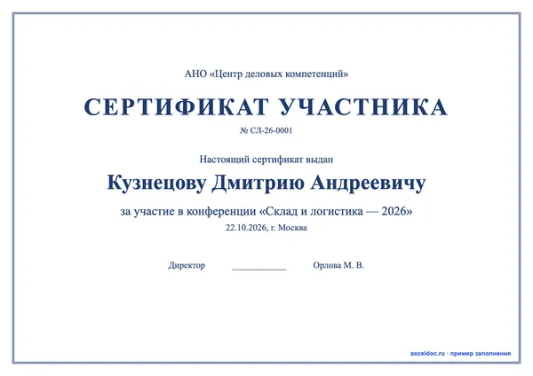 Шаблон сертификата участника в Word — оформление 1