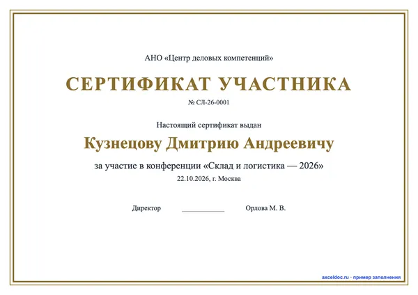 Шаблон сертификата участника в Word — оформление 3